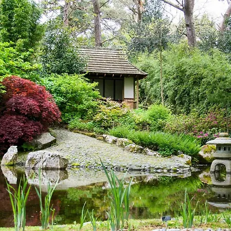 Kemp Pinetum Gardens Retreats St Austell
